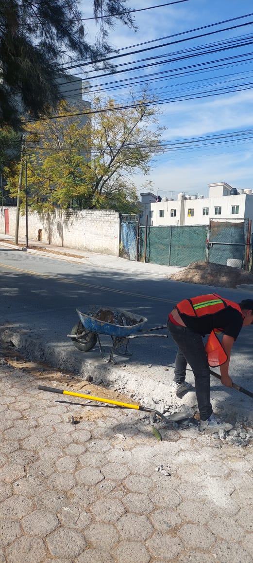 Imagen del proyecto