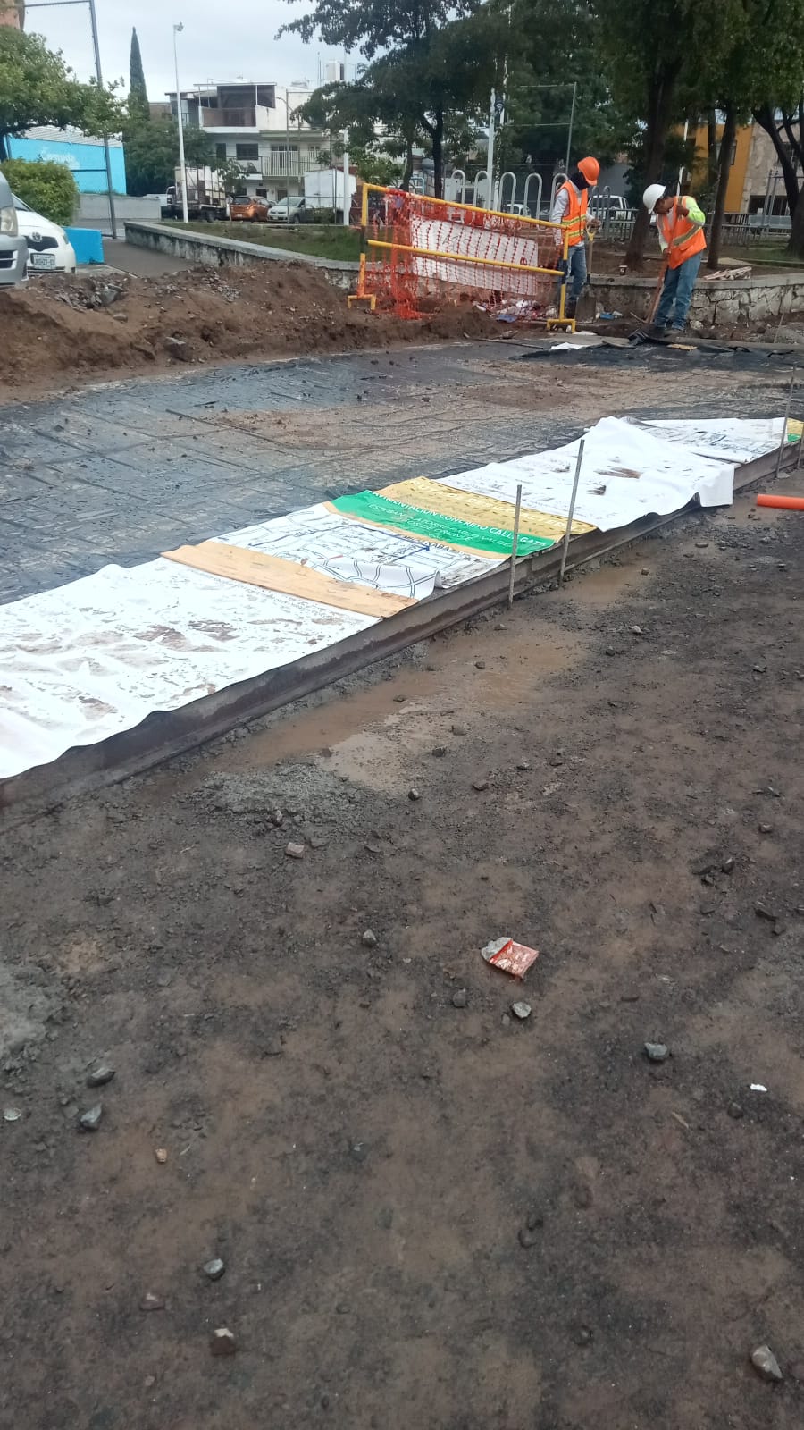 Imagen del proyecto