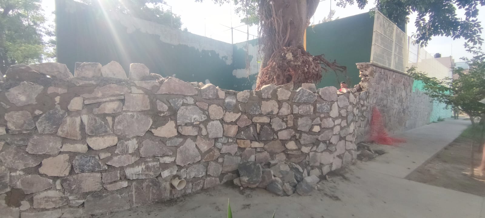 Imagen del proyecto