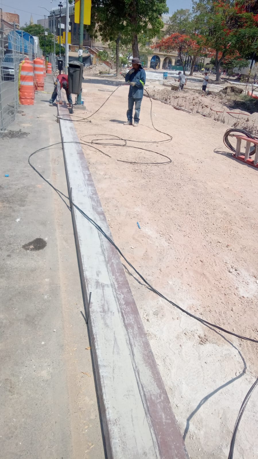 Imagen del proyecto