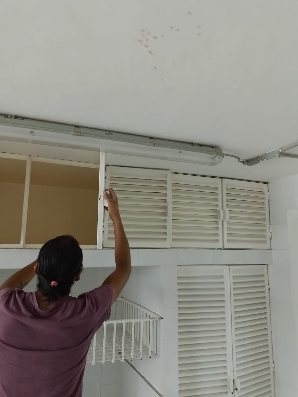 Imagen del proyecto