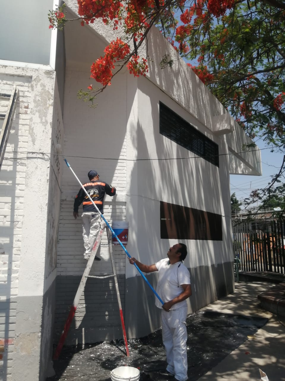 Imagen del proyecto
