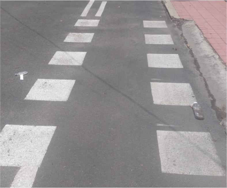 Imagen del proyecto