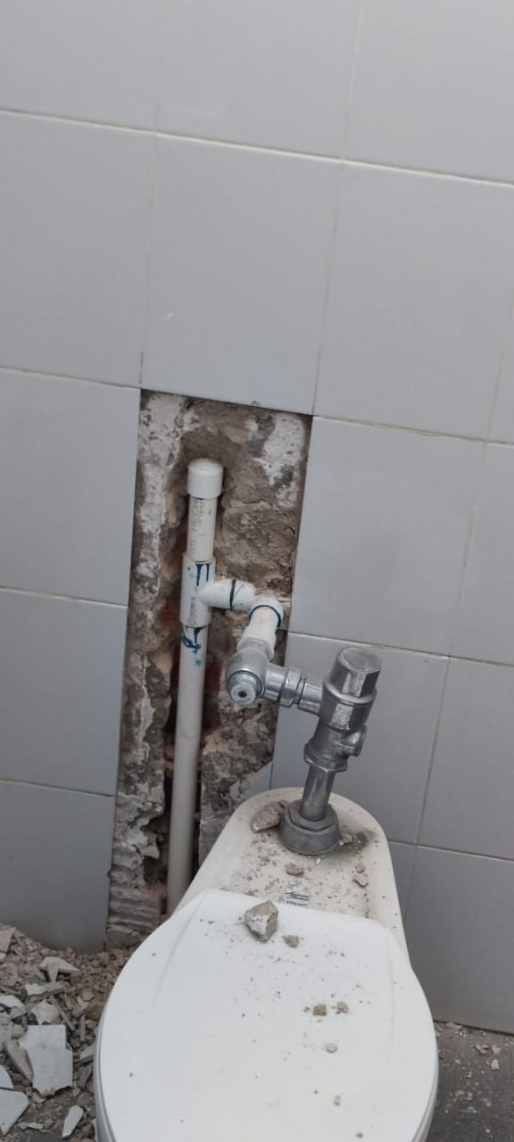 Imagen del proyecto