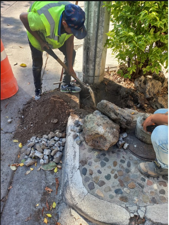 Imagen del proyecto