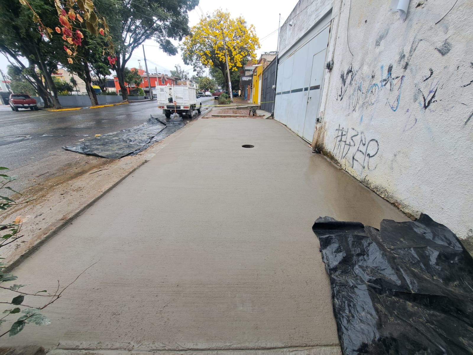 Imagen del proyecto