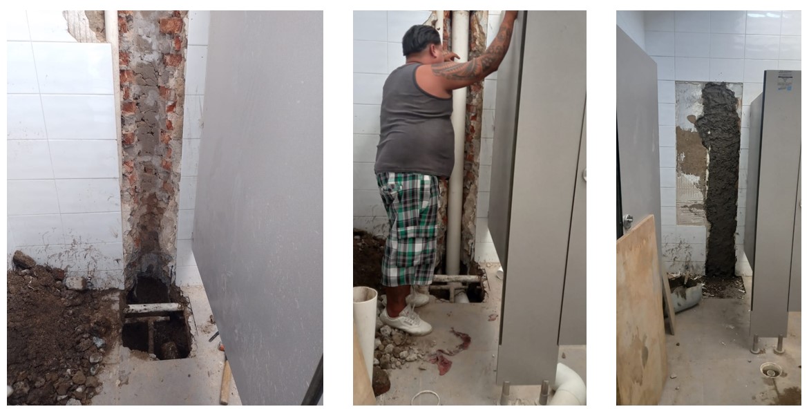 Imagen del Proyecto
