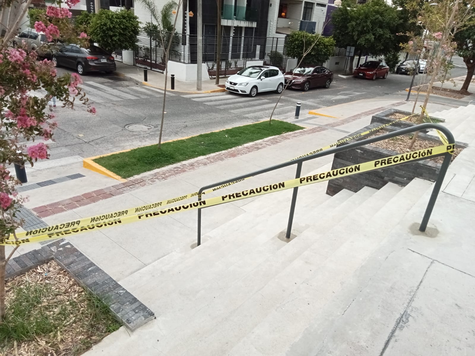 Imagen del proyecto