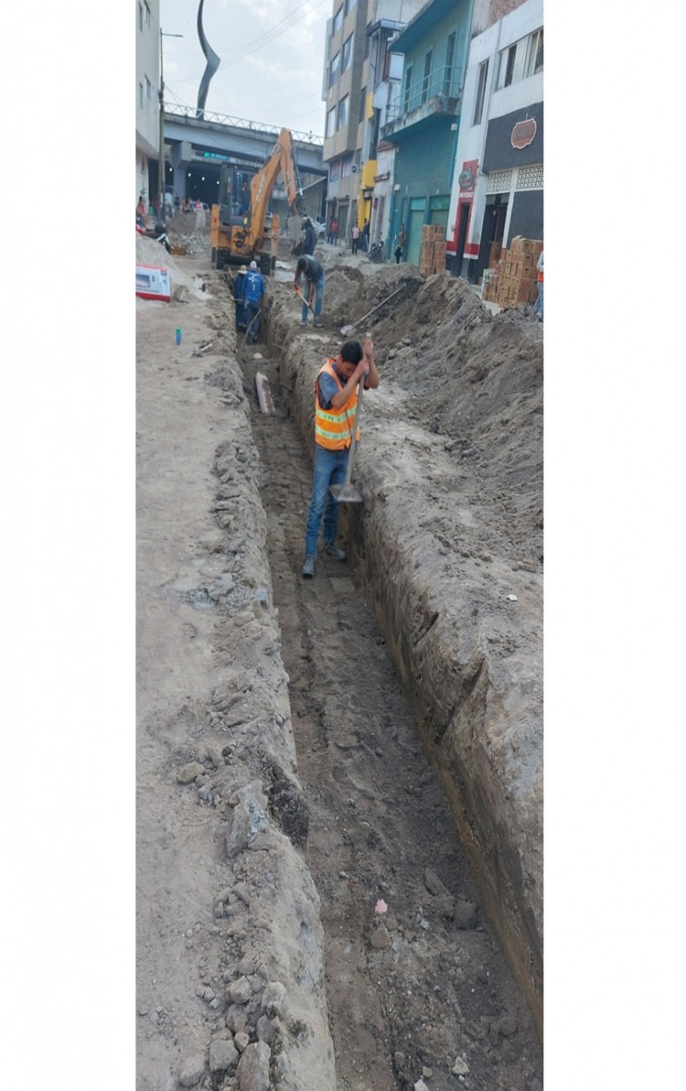 Imagen del proyecto