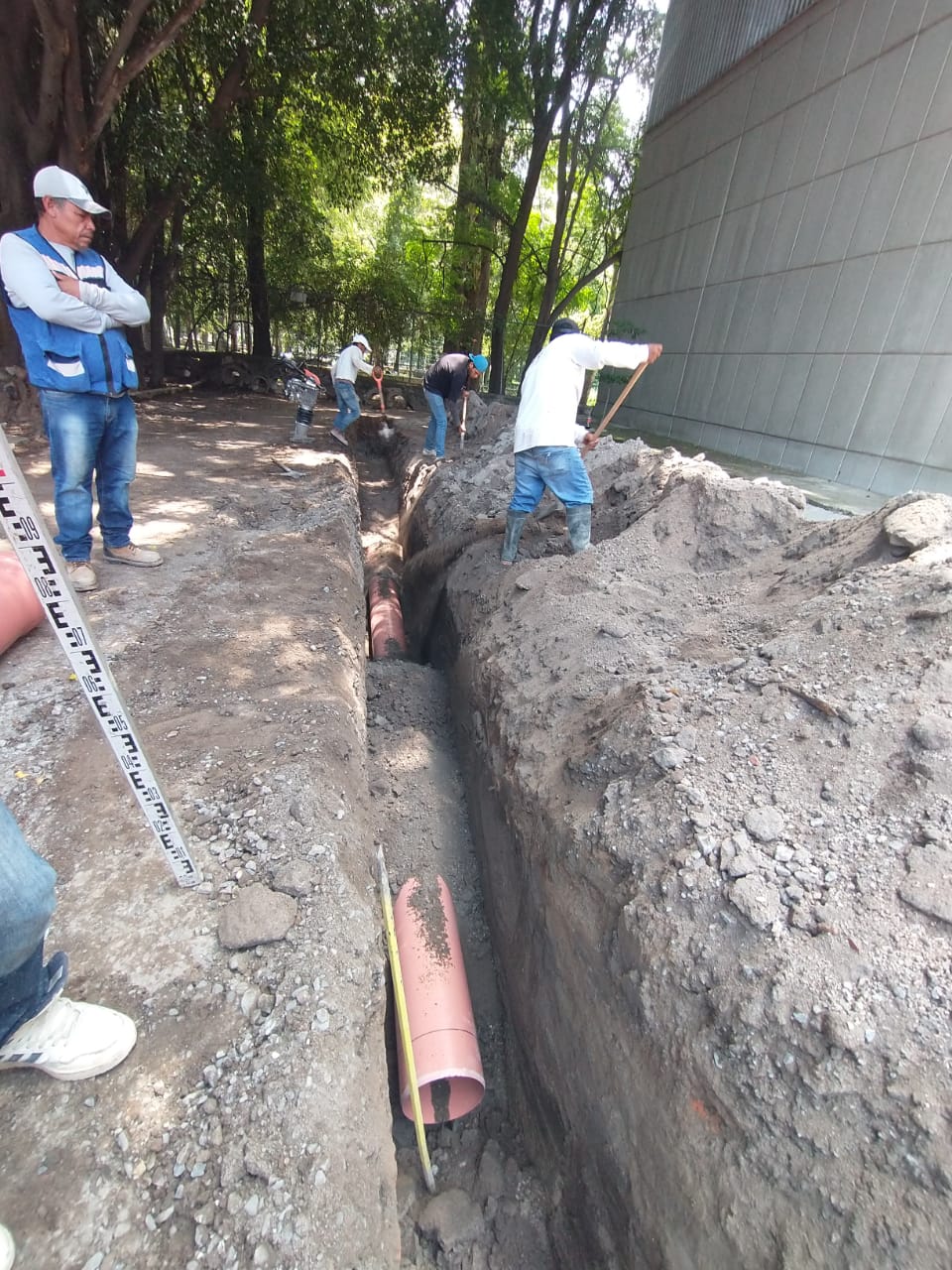 Imagen del proyecto