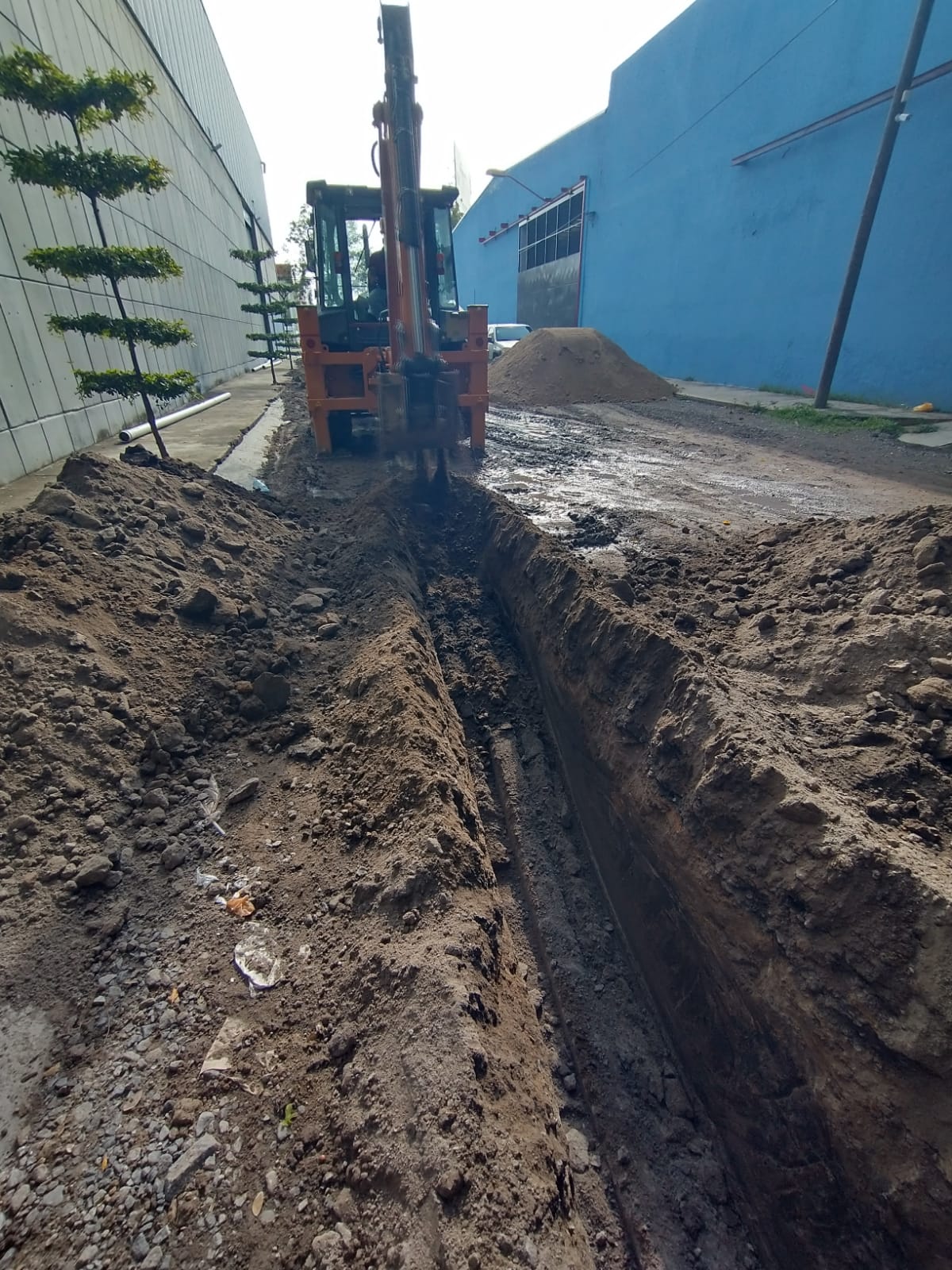 Imagen del proyecto