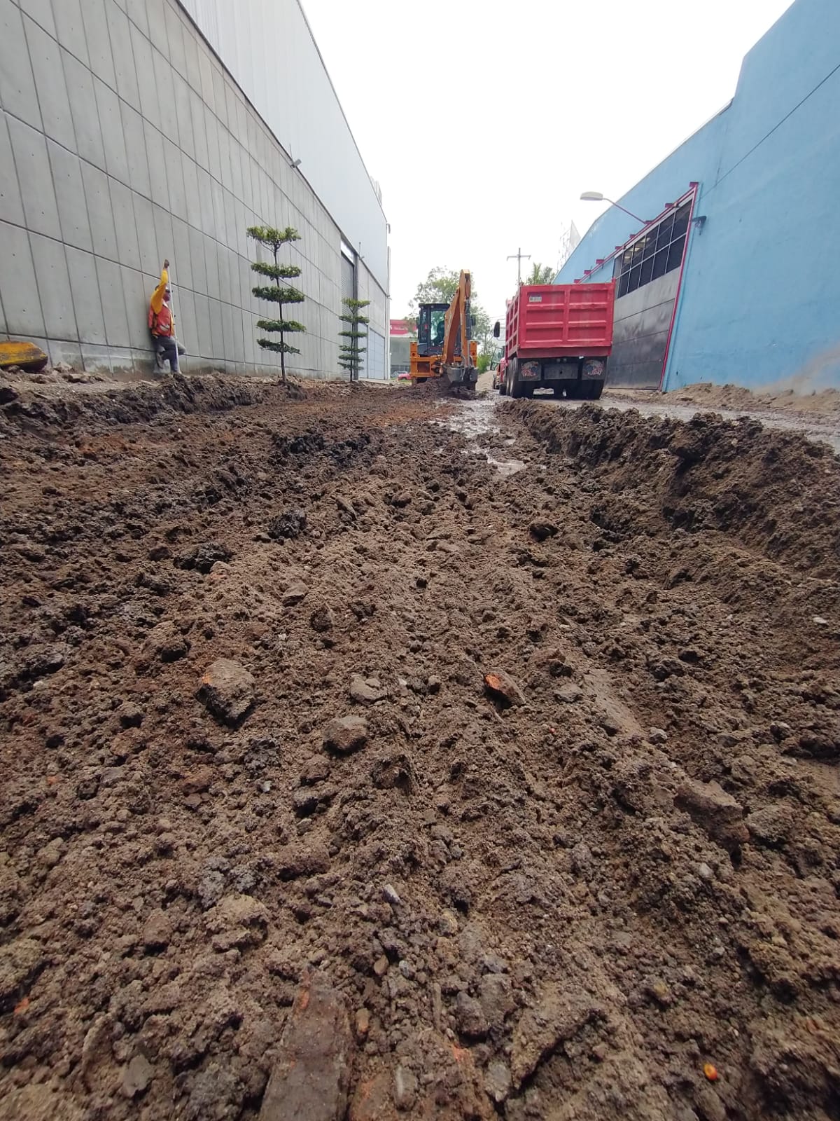 Imagen del proyecto