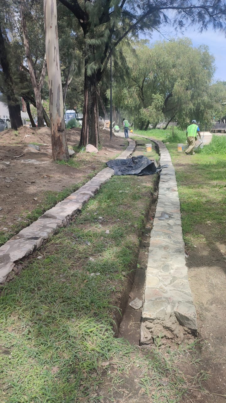 Imagen del proyecto