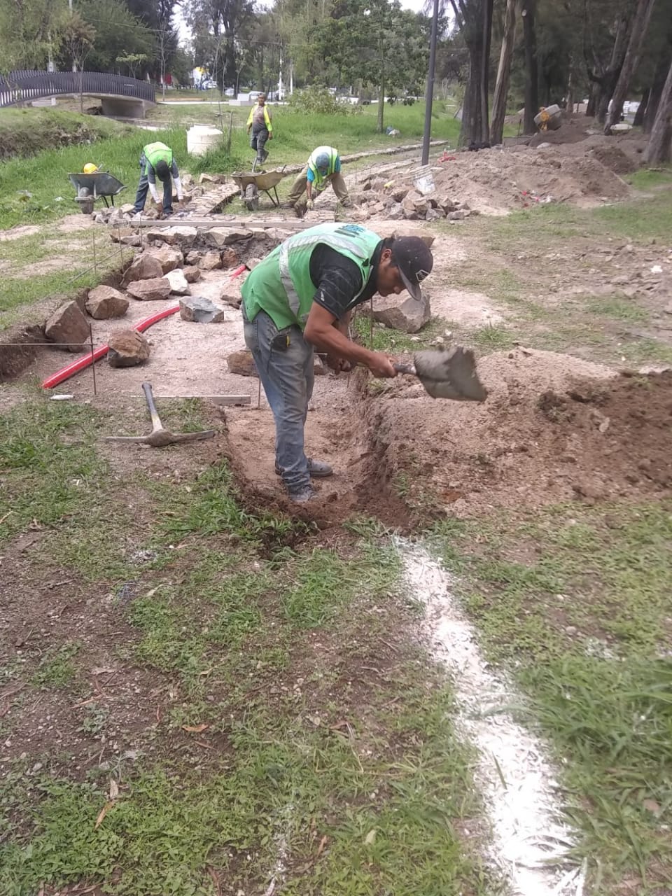 Imagen del proyecto