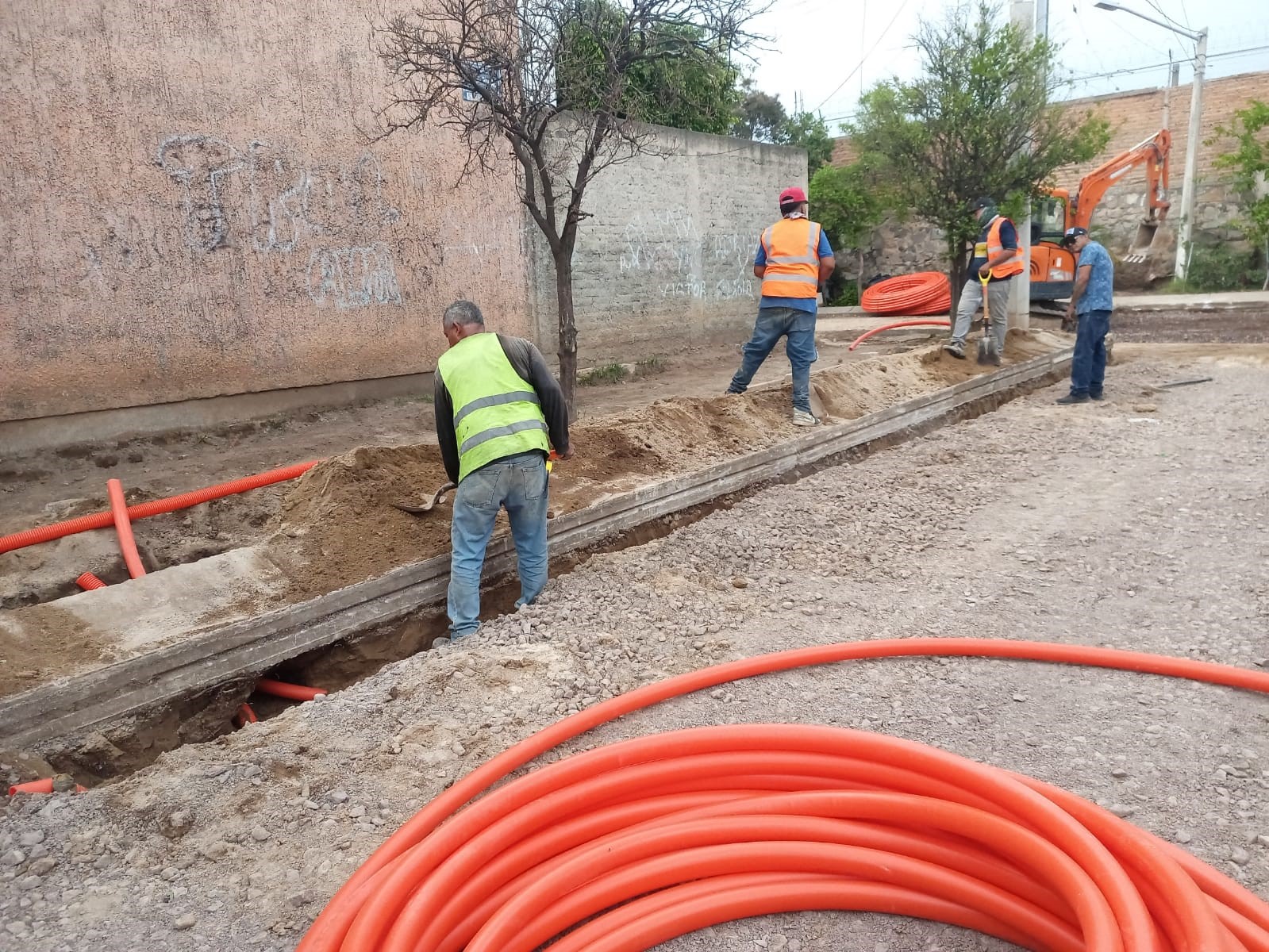 Imagen del proyecto