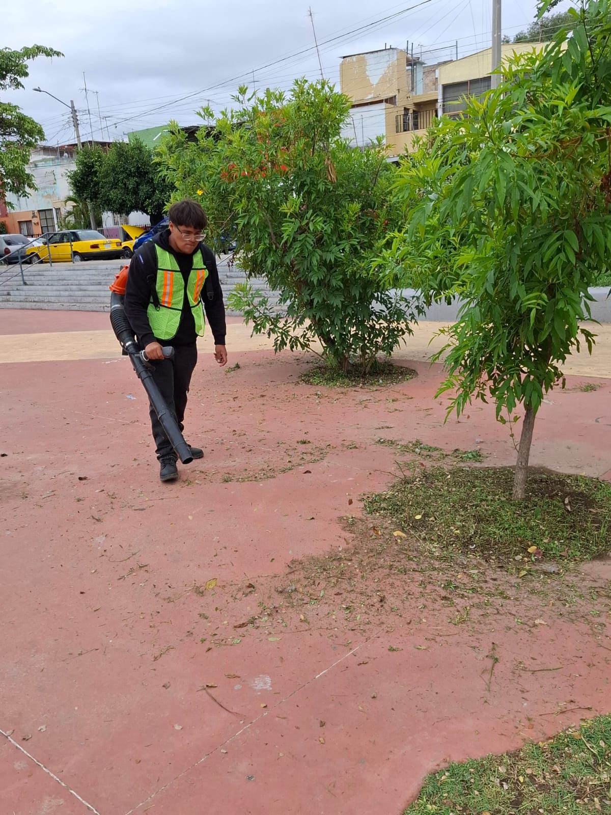 Imagen del proyecto