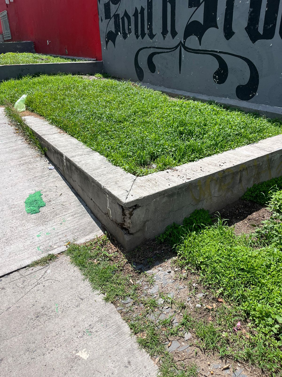 Imagen del proyecto
