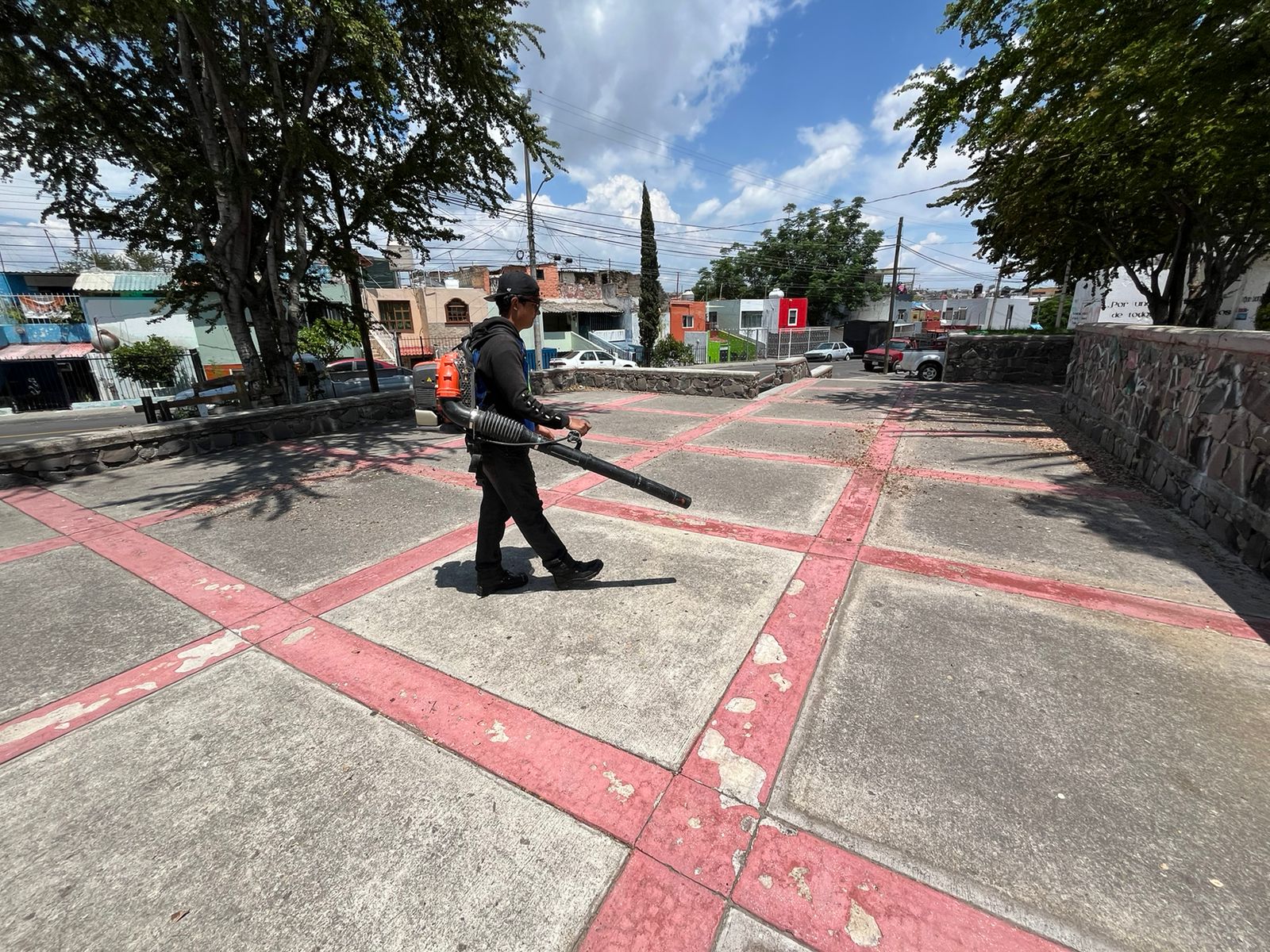 Imagen del proyecto