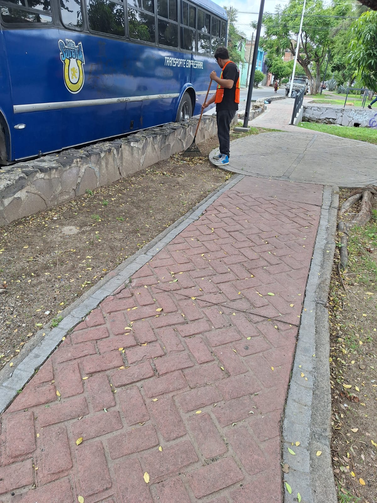 Imagen del proyecto