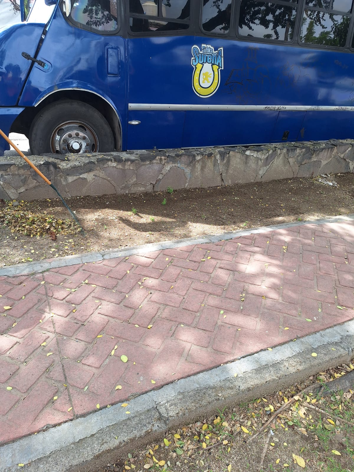 Imagen del proyecto