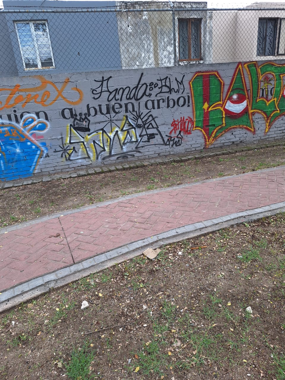 Imagen del proyecto