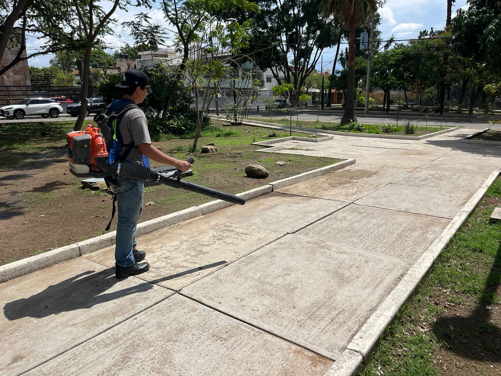 Imagen del proyecto