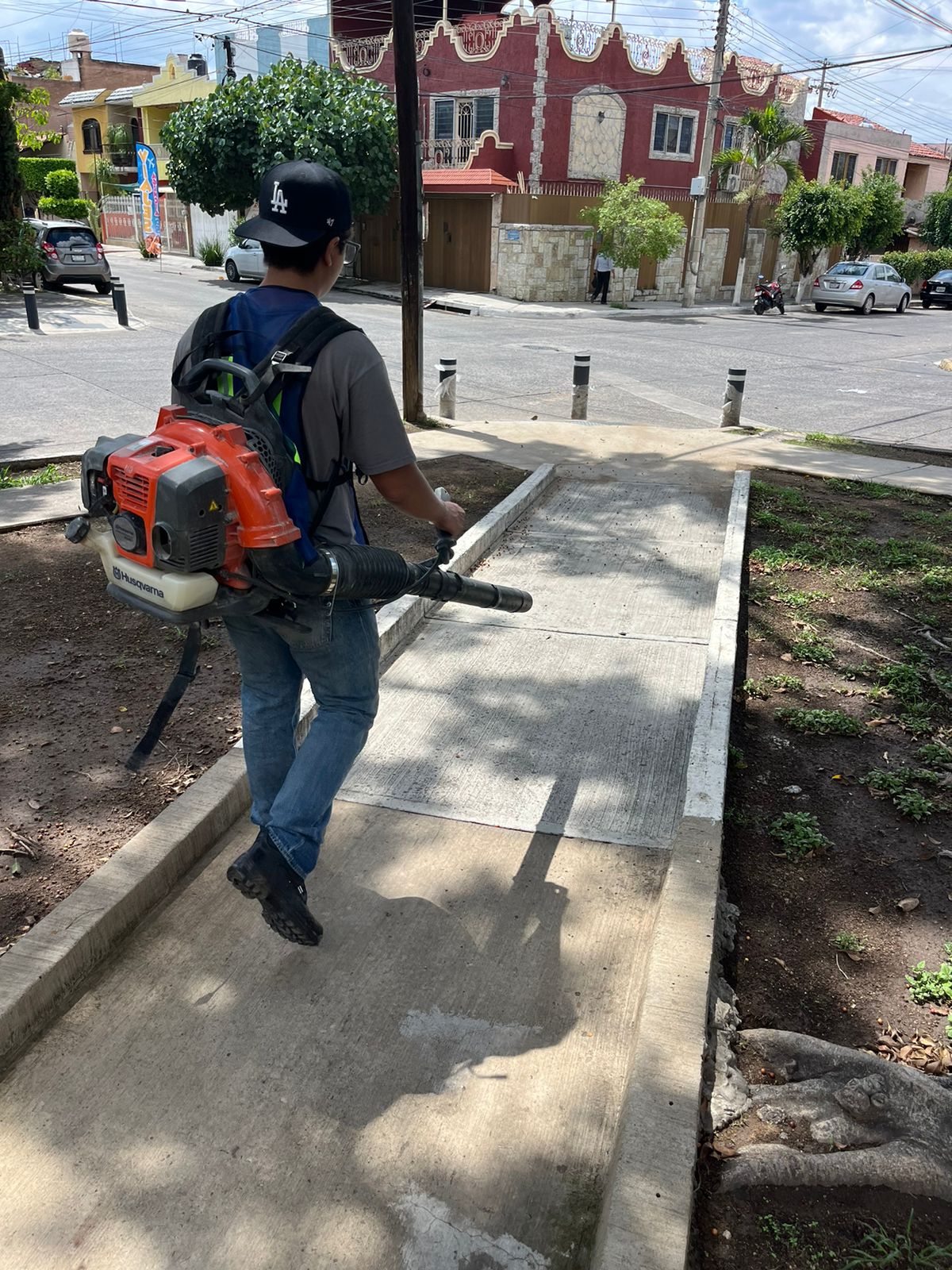 Imagen del proyecto