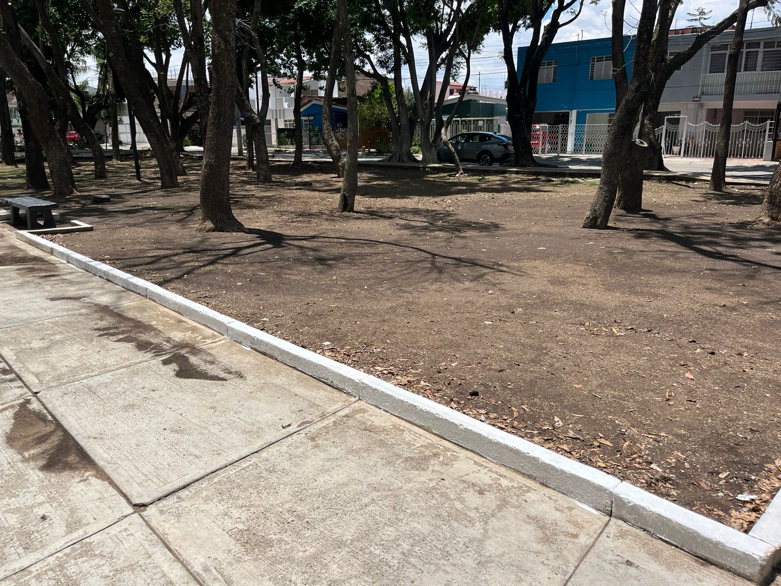 Imagen del proyecto