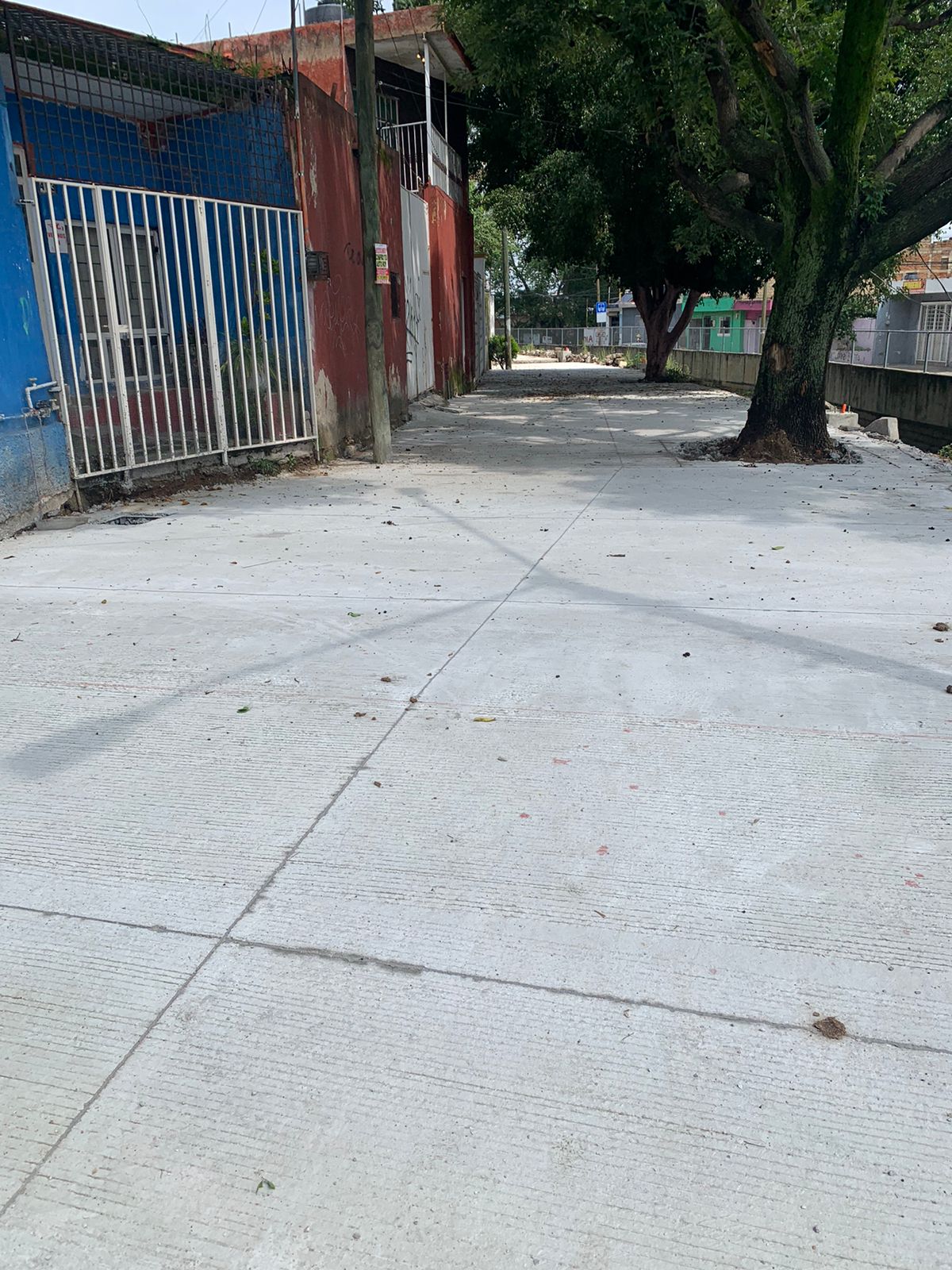 Imagen del proyecto