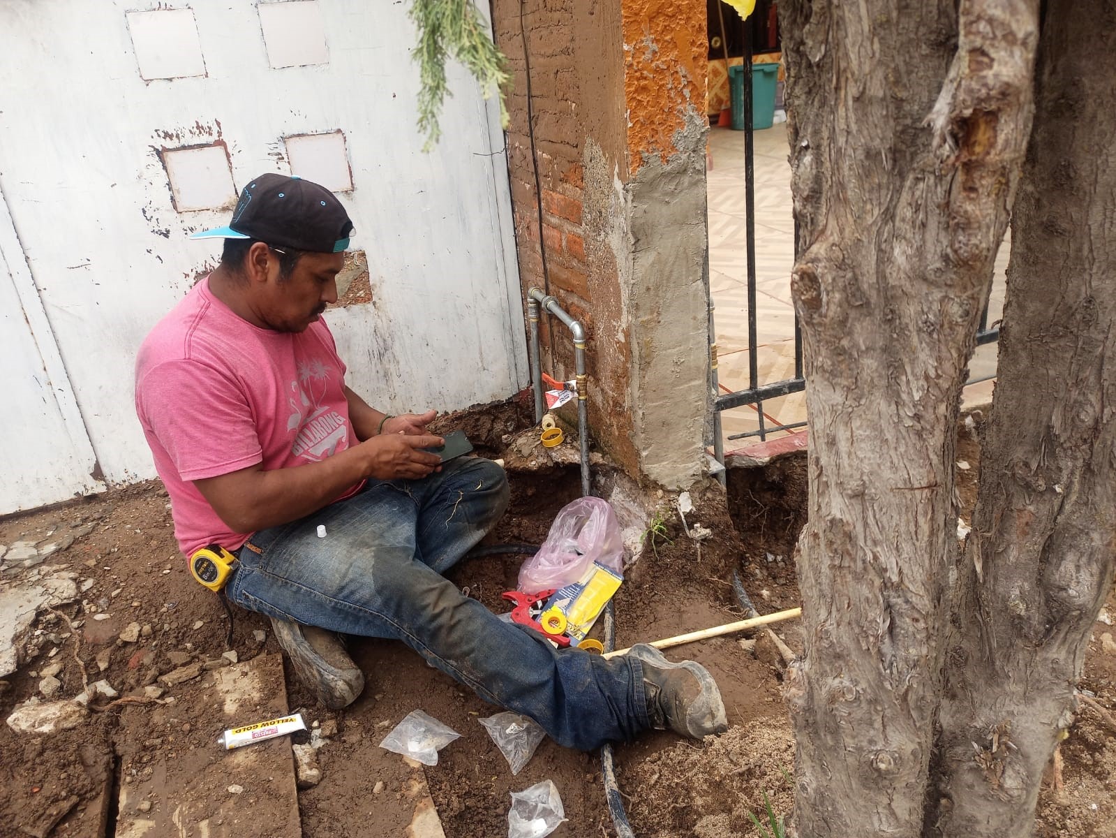 Imagen del proyecto