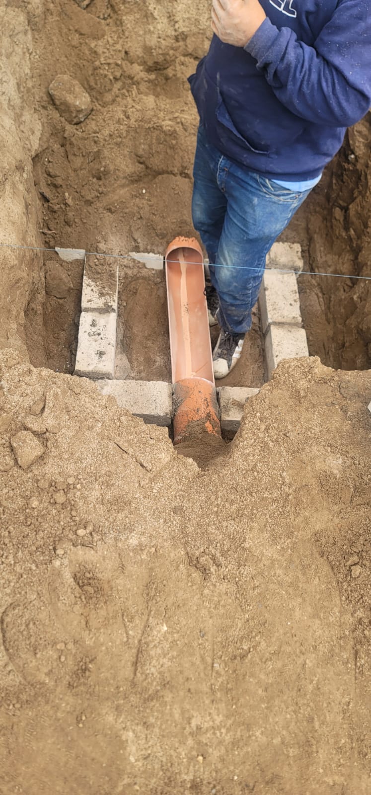 Imagen del proyecto