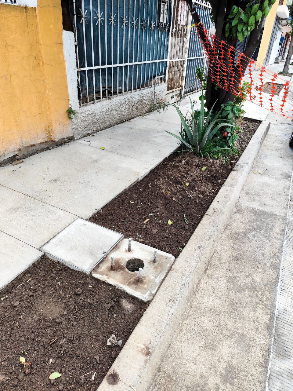Imagen del proyecto
