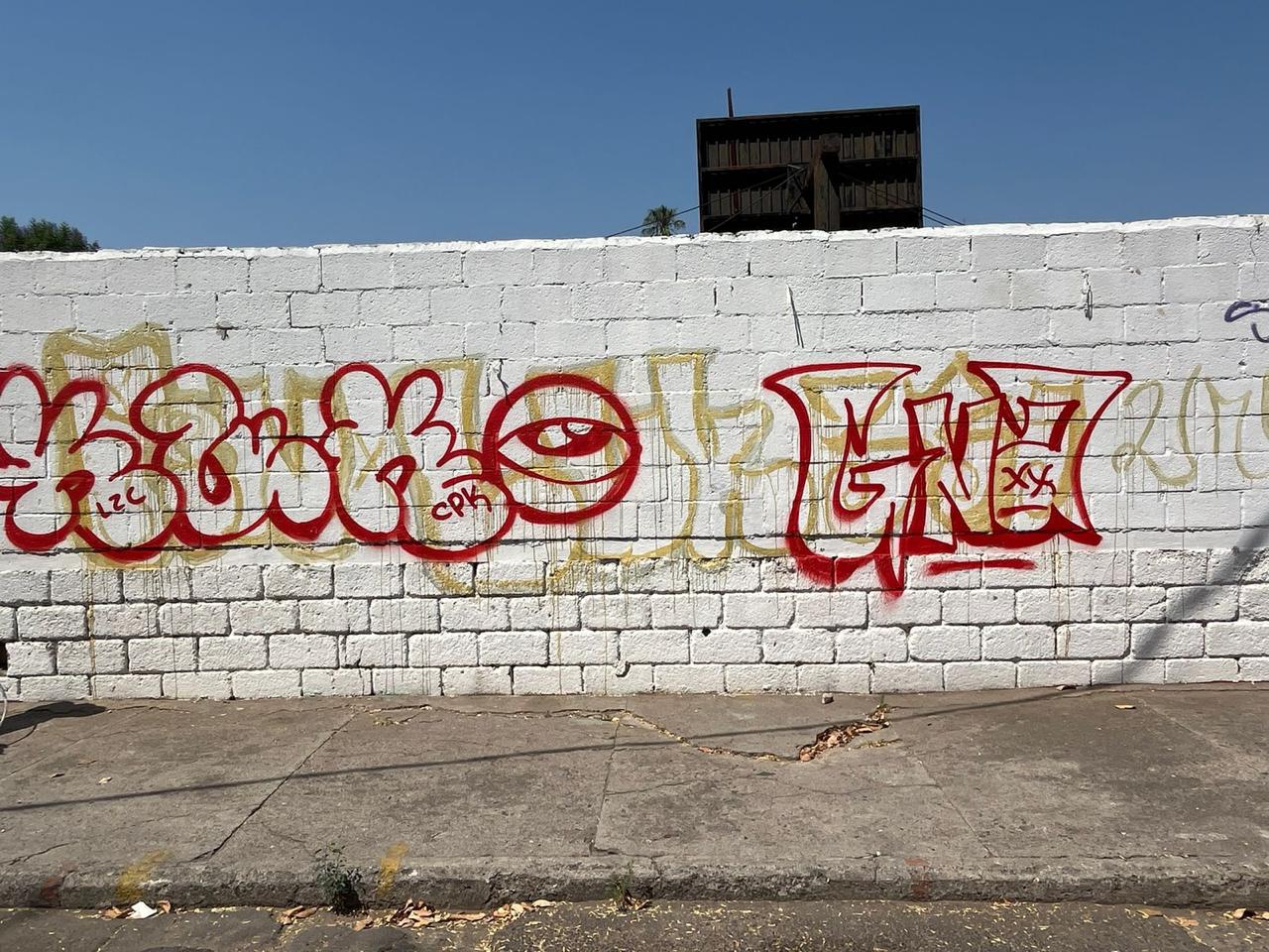 Imagen del proyecto