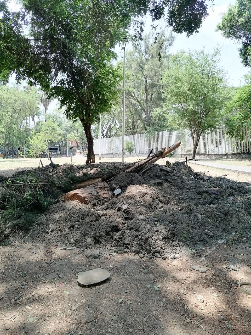 Imagen del proyecto