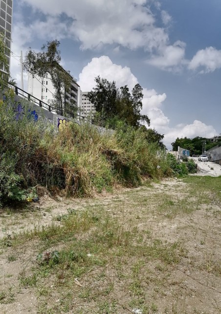 Imagen del proyecto