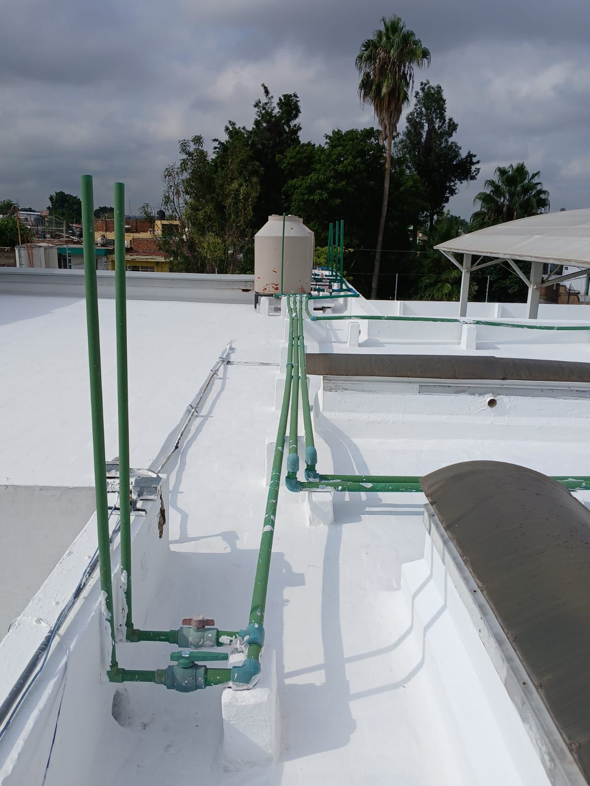 Imagen del proyecto