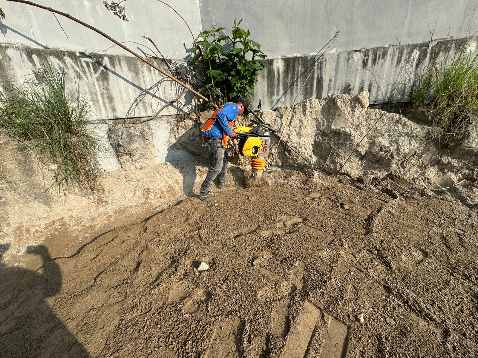 Imagen del proyecto