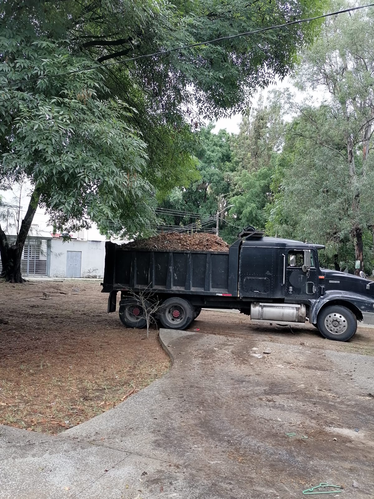 Imagen del proyecto