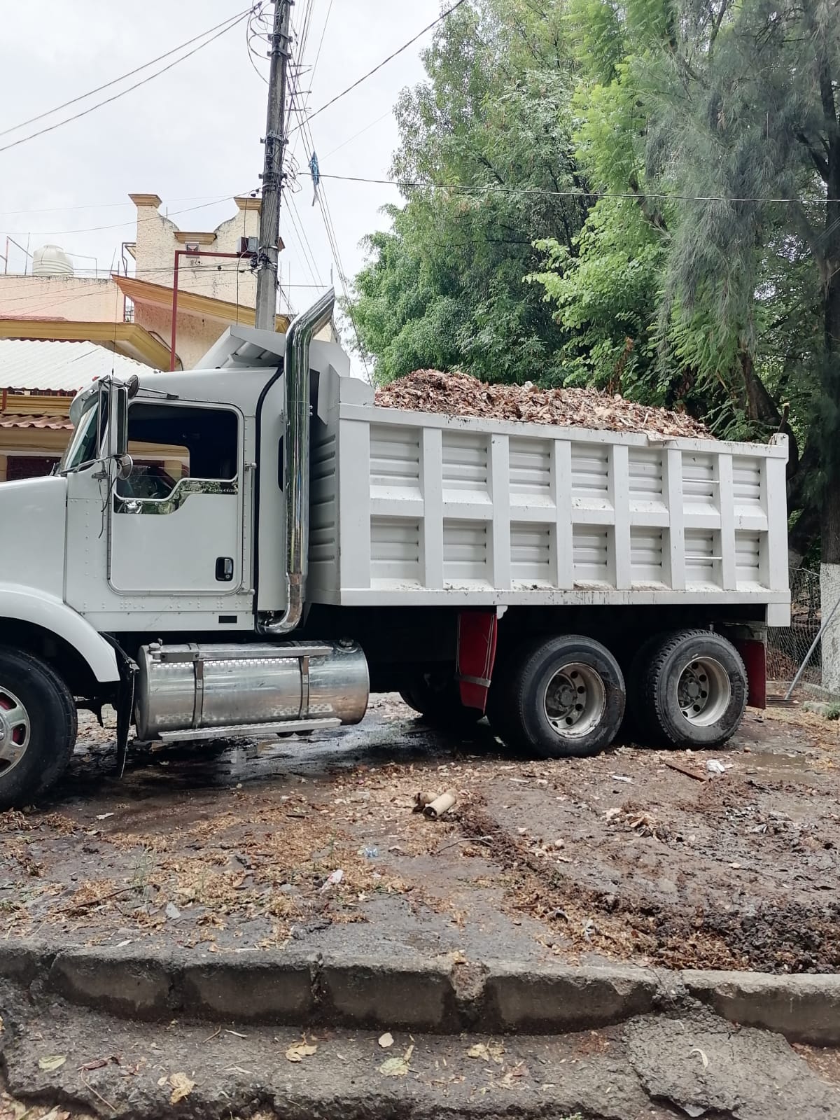 Imagen del proyecto