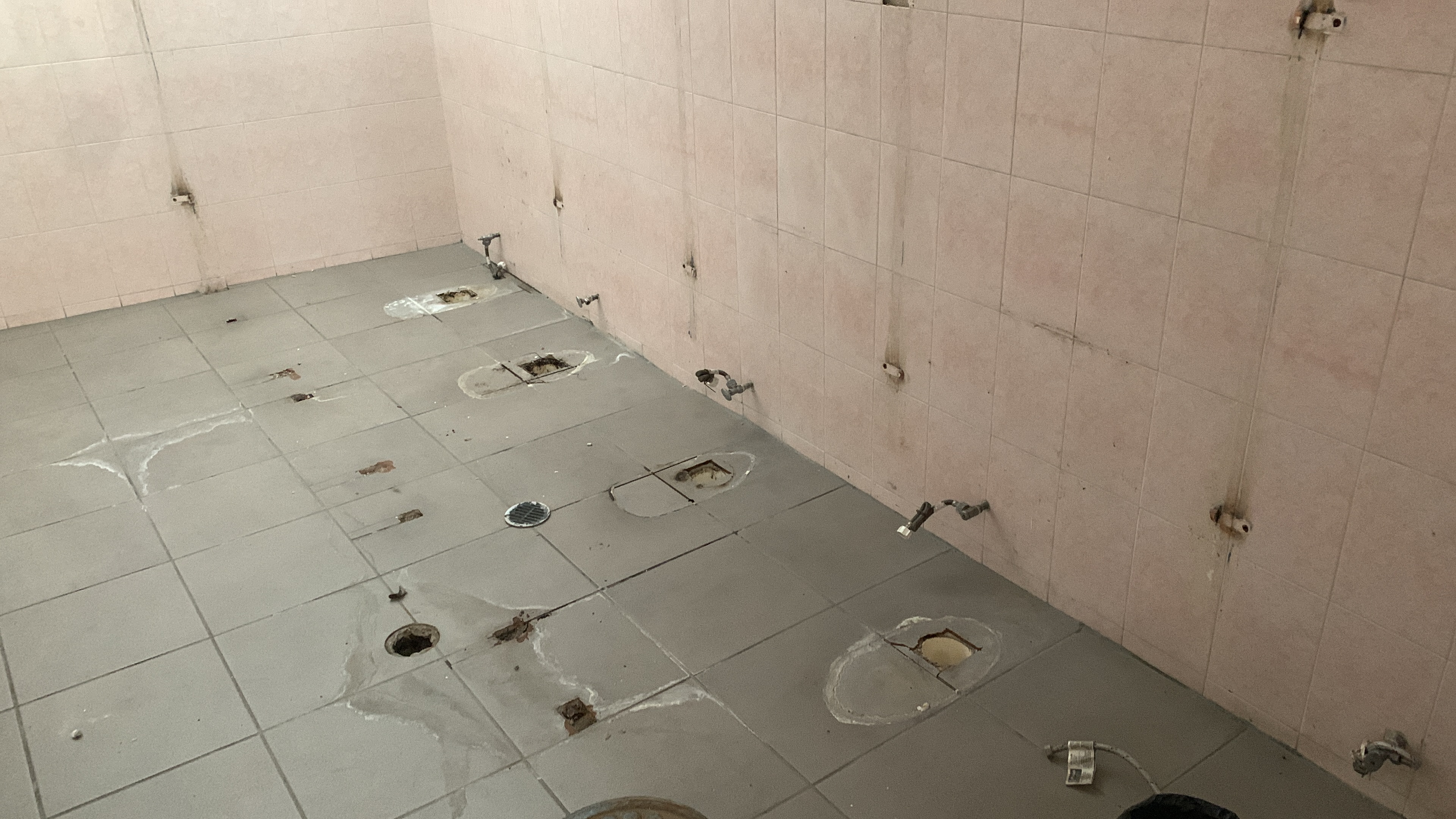 Imagen del proyecto