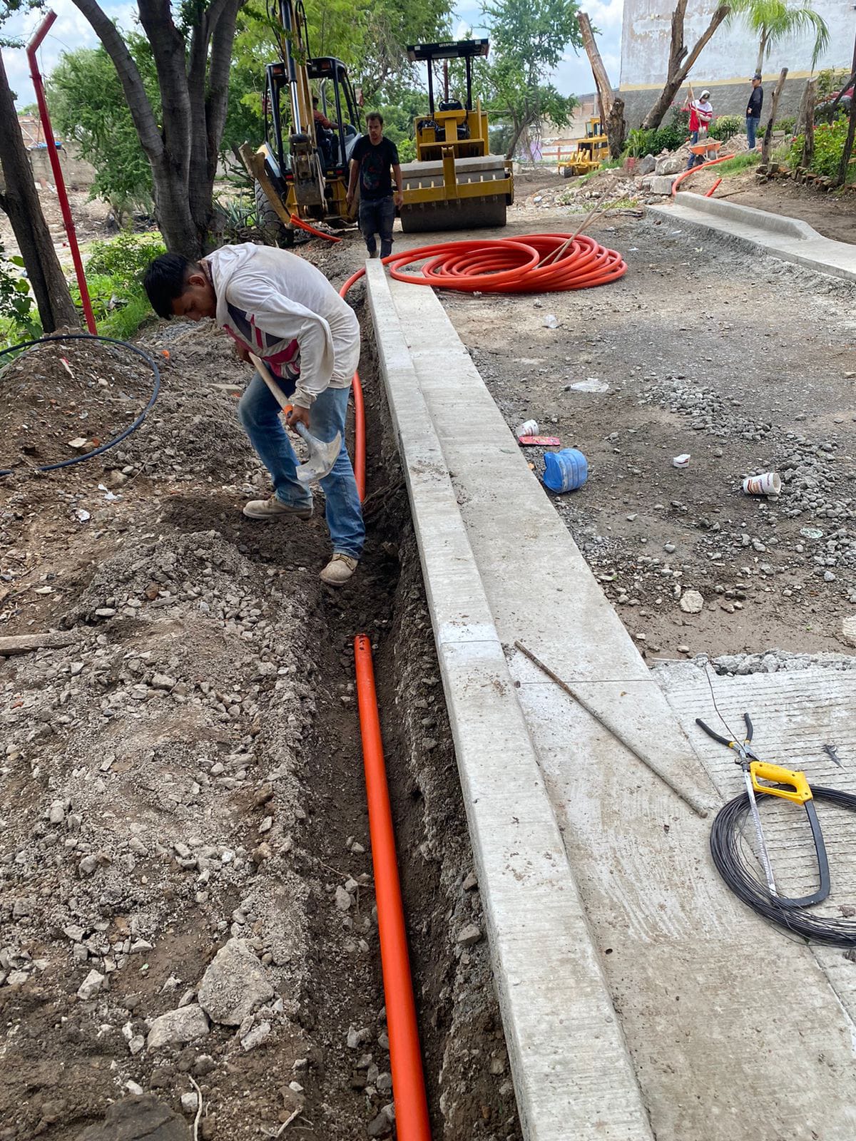 Imagen del proyecto