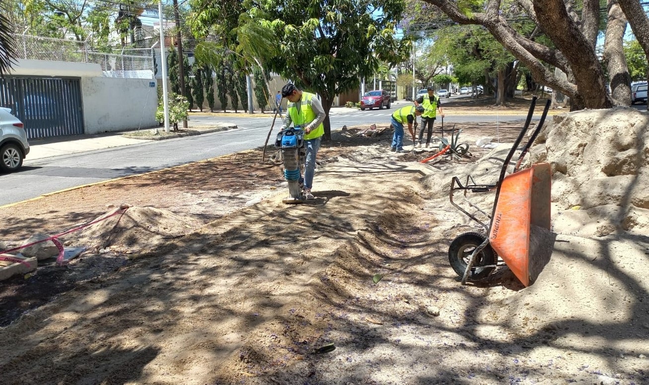 Imagen del proyecto