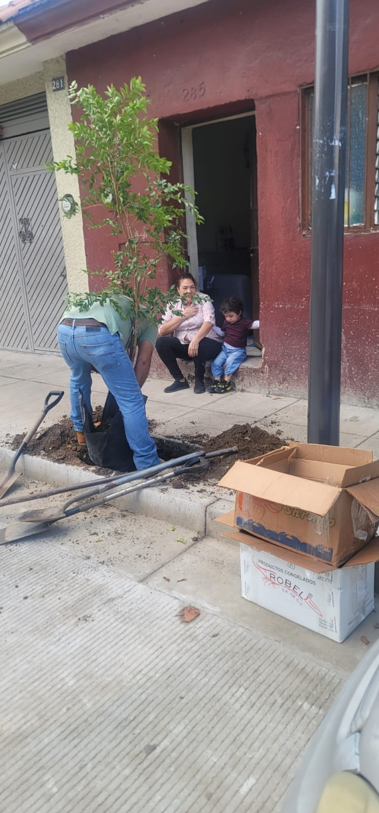Imagen del proyecto