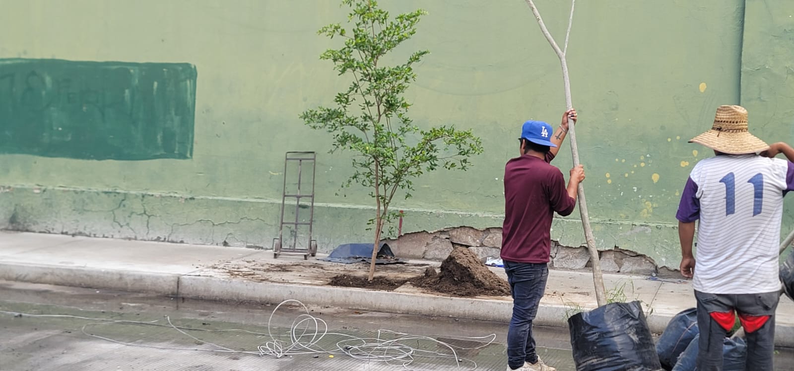 Imagen del proyecto