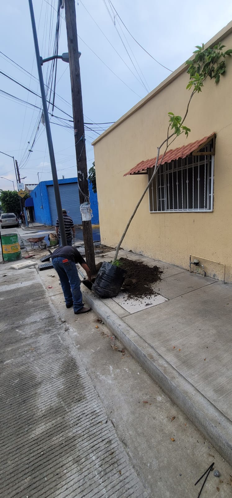 Imagen del proyecto