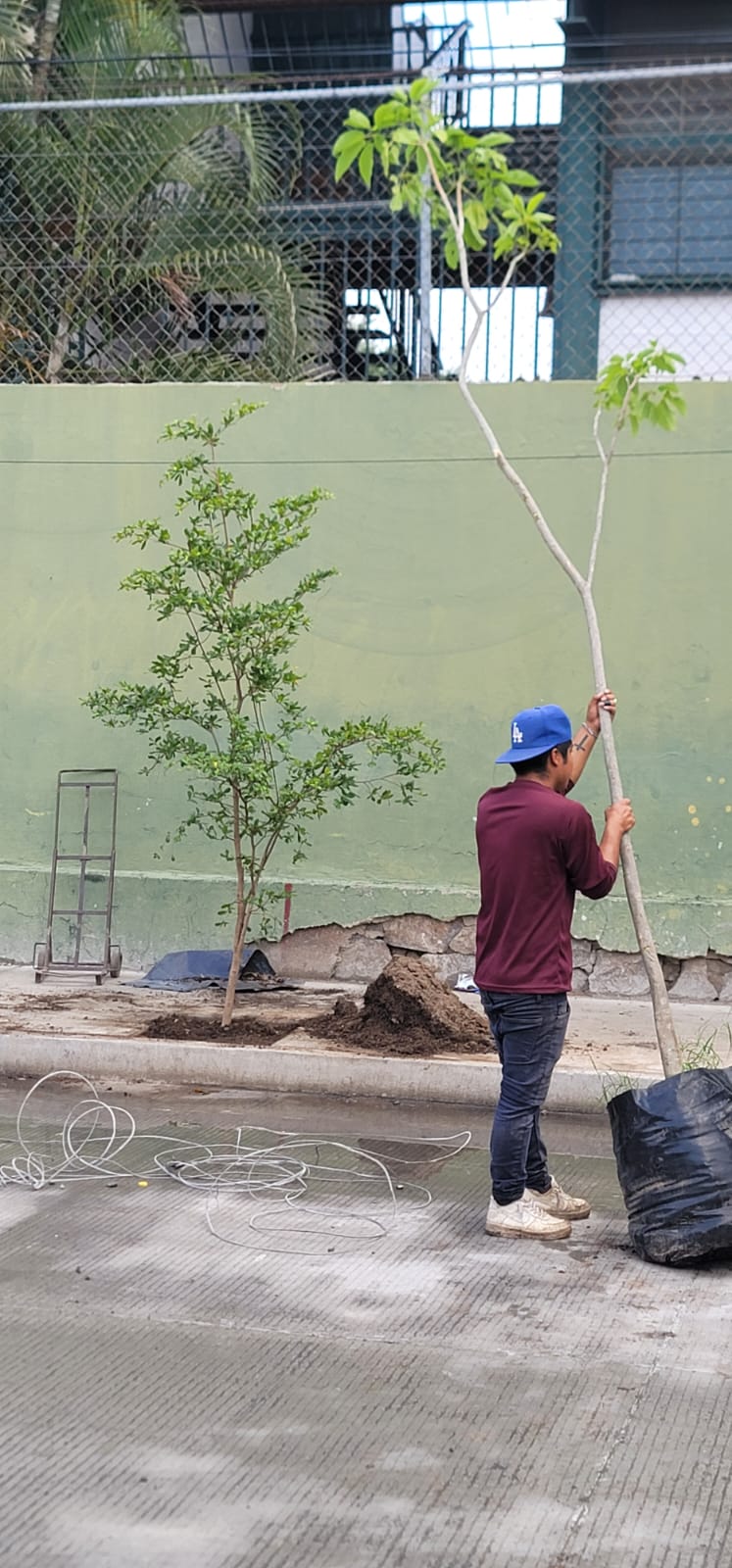 Imagen del proyecto