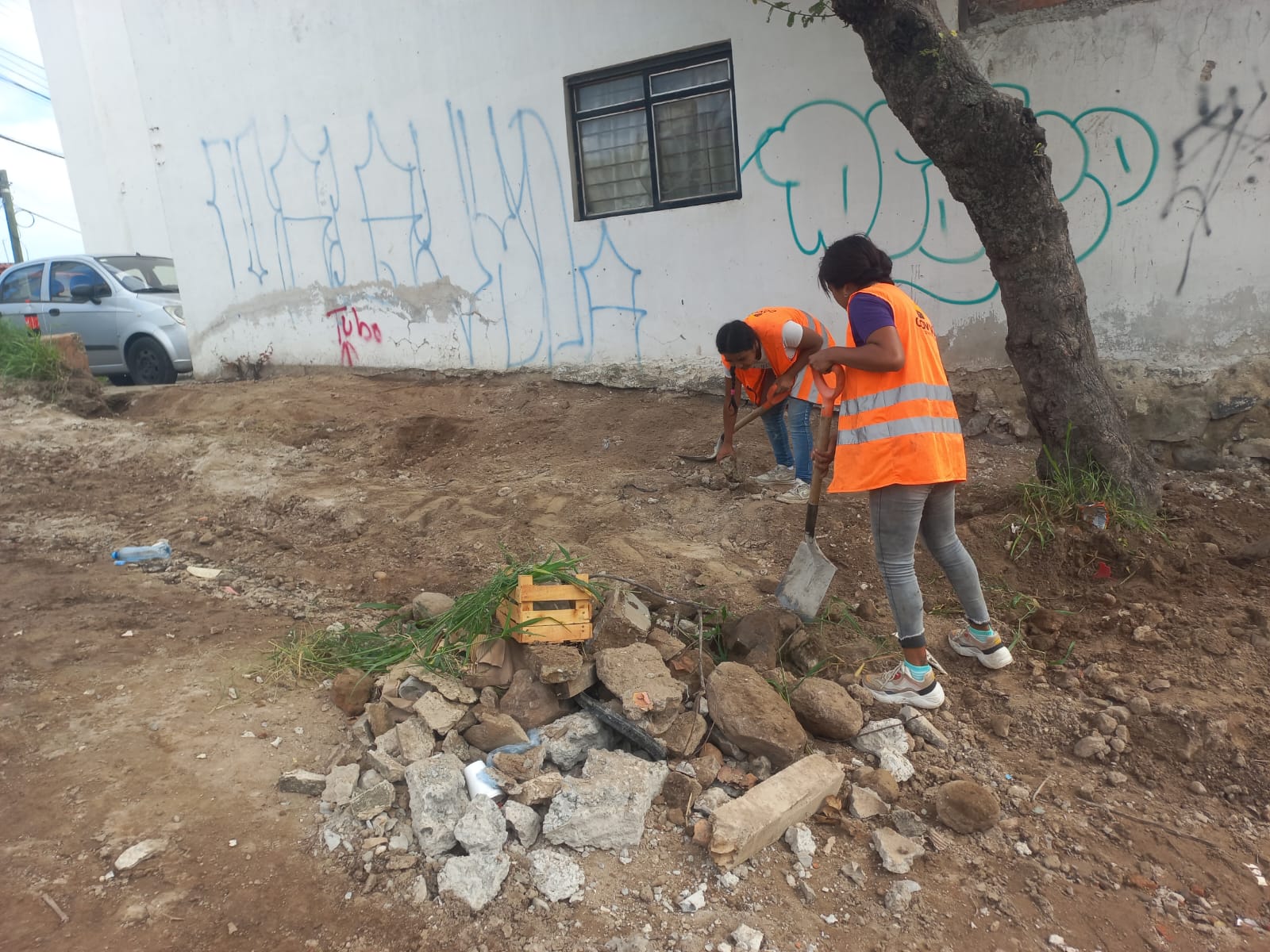 Imagen del proyecto