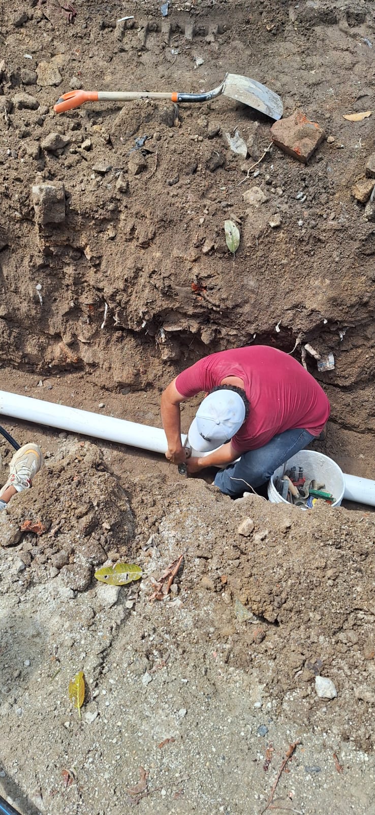 Imagen del proyecto