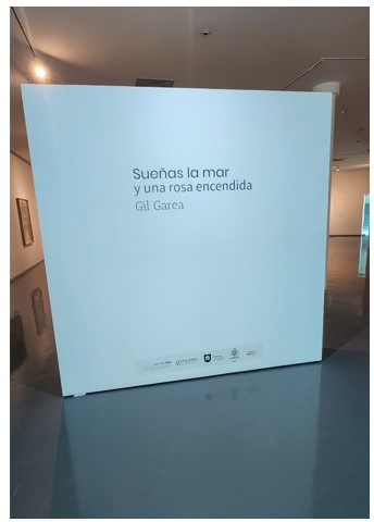 Imagen del proyecto
