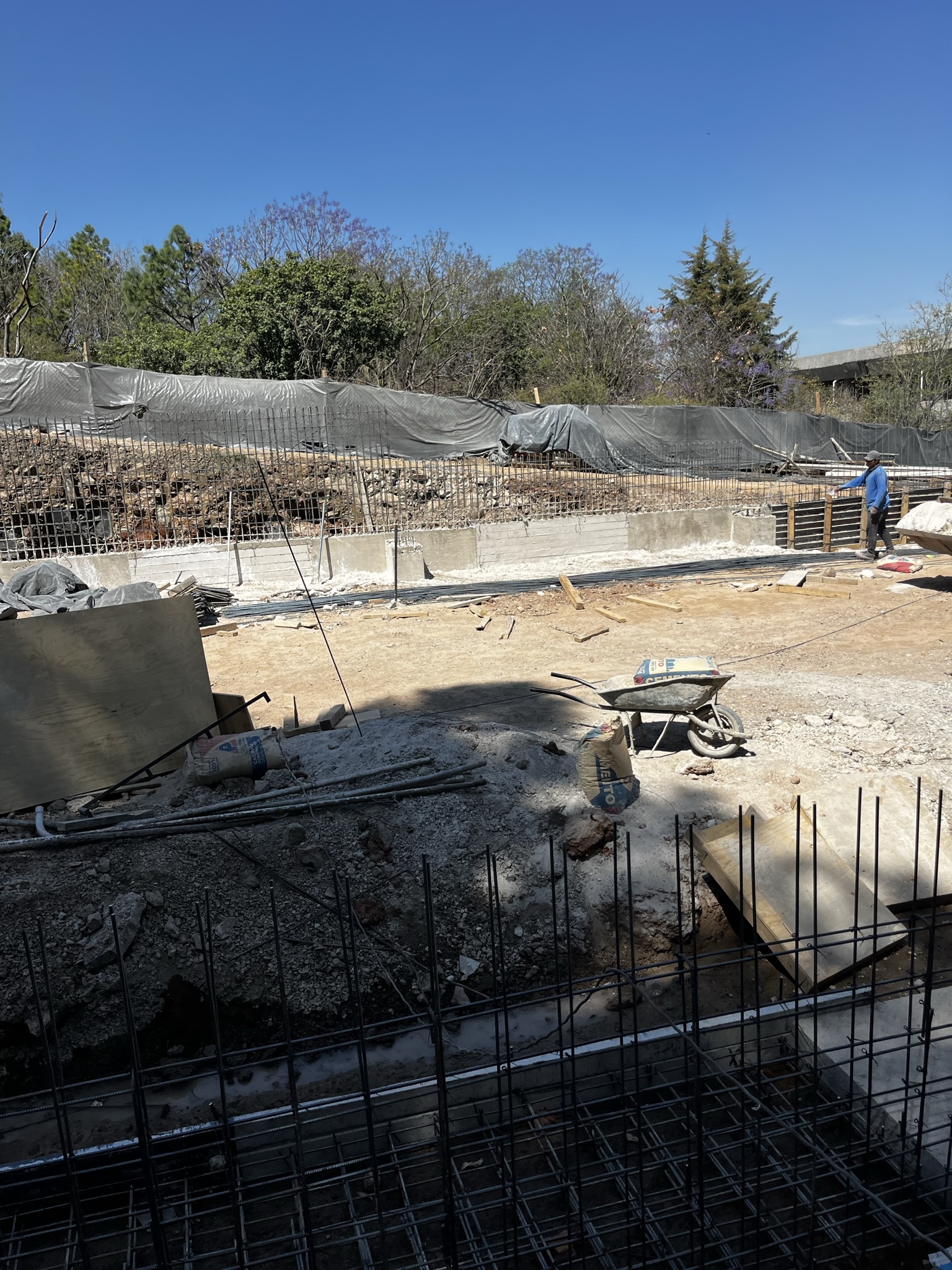 Imagen del proyecto